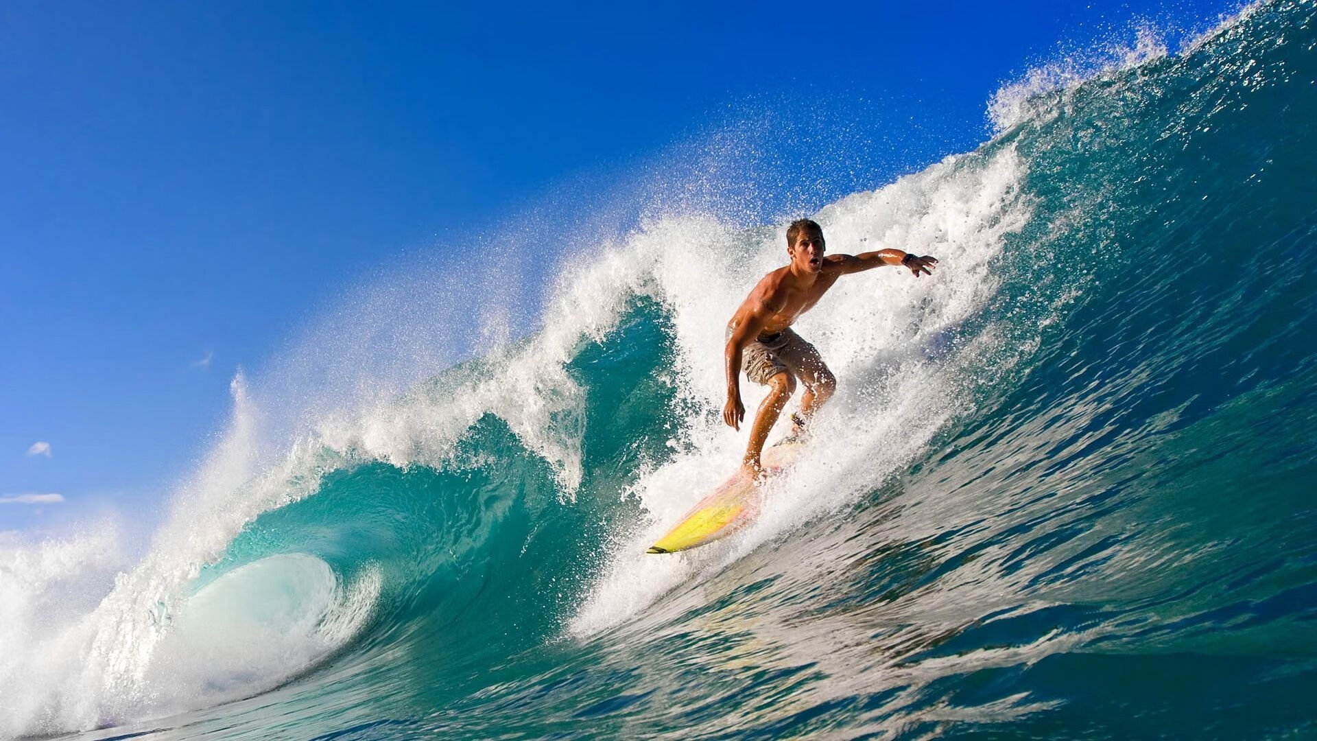 特色古典马术表演，演绎千年传统技艺，马术古典舞步